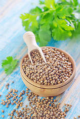 Image showing coriander