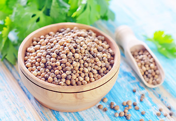 Image showing coriander