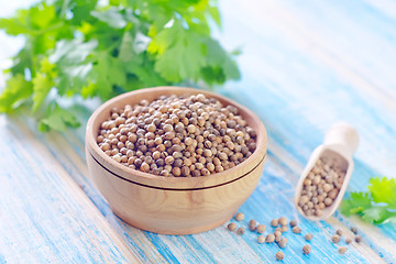 Image showing coriander