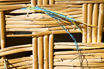 Image showing texture bamboo in morocco africa blue closeup