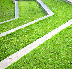 Image showing thailand asia  abstract cross garden grass  the temple 