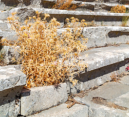 Image showing the old  temple and theatre in termessos antalya turkey asia sky