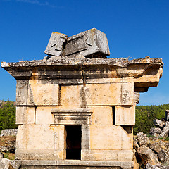 Image showing history pamukkale    old construction in asia turkey the column 