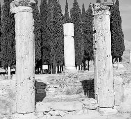 Image showing history pamukkale    old construction in asia turkey the column 