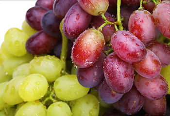 Image showing fresh green and rose grapes