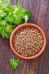 Image showing coriander