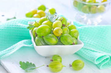 Image showing gooseberry