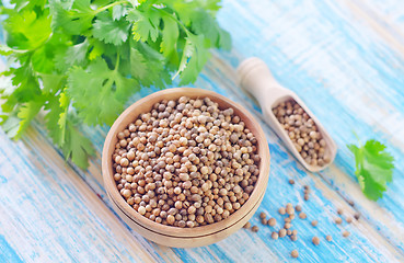 Image showing coriander