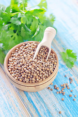 Image showing coriander