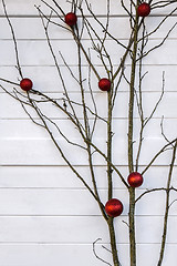 Image showing Branch tree as Christmas decorated