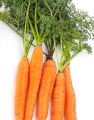 Image showing carrots with green leaves on white