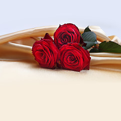 Image showing red roses on silk background