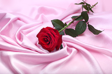 Image showing red rose on pink silk background