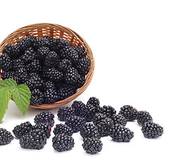 Image showing Fresh blackberry with leaf in basket