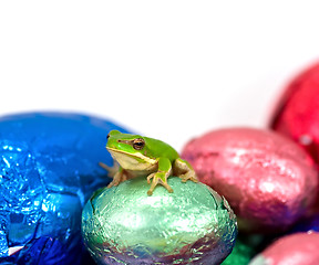 Image showing dwarf green tree frog sitting on small solid easter egg