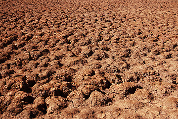 Image showing hot desert in the sun