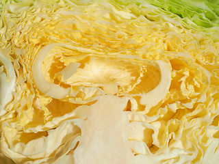 Image showing Green cabbage vegetables