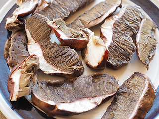 Image showing Porcini mushrooms food