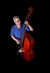 Image showing Bass player