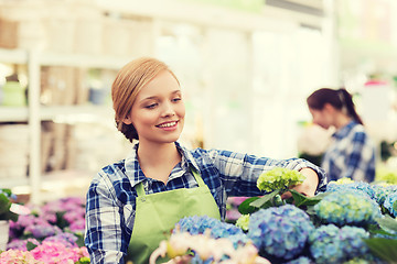 Image showing happy woman taking care of flowers in greenhouse