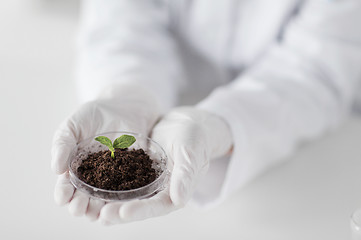 Image showing close up of scientist hands with plant and soil