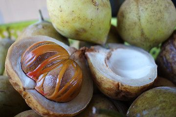 Image showing Colorful photo of Nutmeg fruit