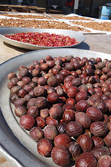 Image showing Dried nutmeg seeds