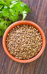 Image showing coriander