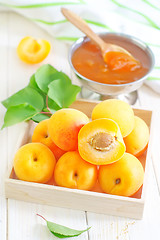 Image showing apricots