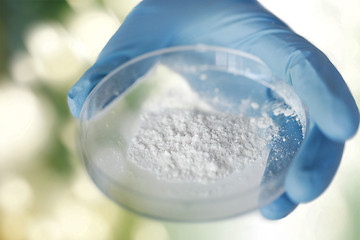 Image showing close up of scientist hands holding petri dish