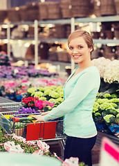 Image showing happy woman with shopping trollye buying flowers