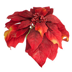 Image showing Red Christmas decoration