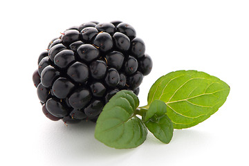 Image showing Blackberries with leaves