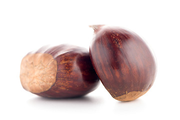 Image showing Chestnuts with shell 