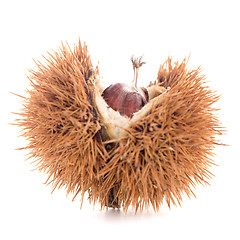 Image showing Chestnuts with shell 