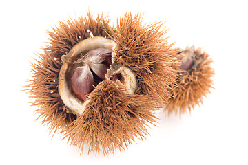 Image showing Chestnuts with shell 