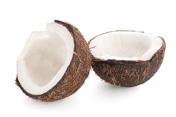 Image showing Coconut