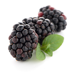 Image showing Blackberries with leaves