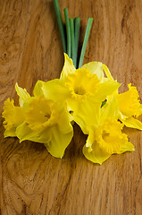 Image showing Jonquil flowers