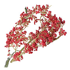 Image showing Red Christmas decoration