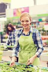 Image showing happy woman taking care of seedling in greenhouse