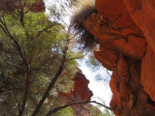 Image showing red rock