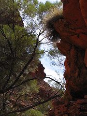 Image showing red rock