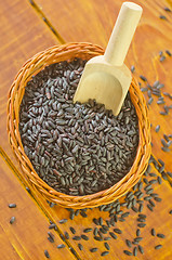 Image showing black rice