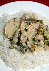 Image showing Green curry meal vertical no chopsticks