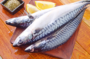 Image showing raw fish