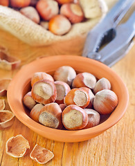 Image showing hazelnuts