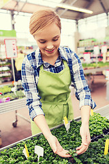 Image showing happy woman taking care of seedling in greenhouse