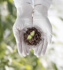 Image showing close up of scientist hands with plant and soil