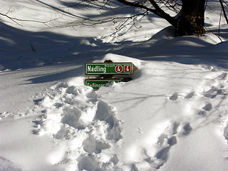 Image showing Sign in snow